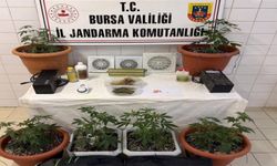Bursa'da uyuşturucu operasyonu: Bir şüpheli tutuklandı