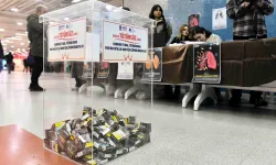 Ankara'da toplum sağlığı için kararlı mücadele